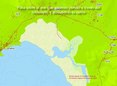 Imaxe Sons de aves do Barbanza