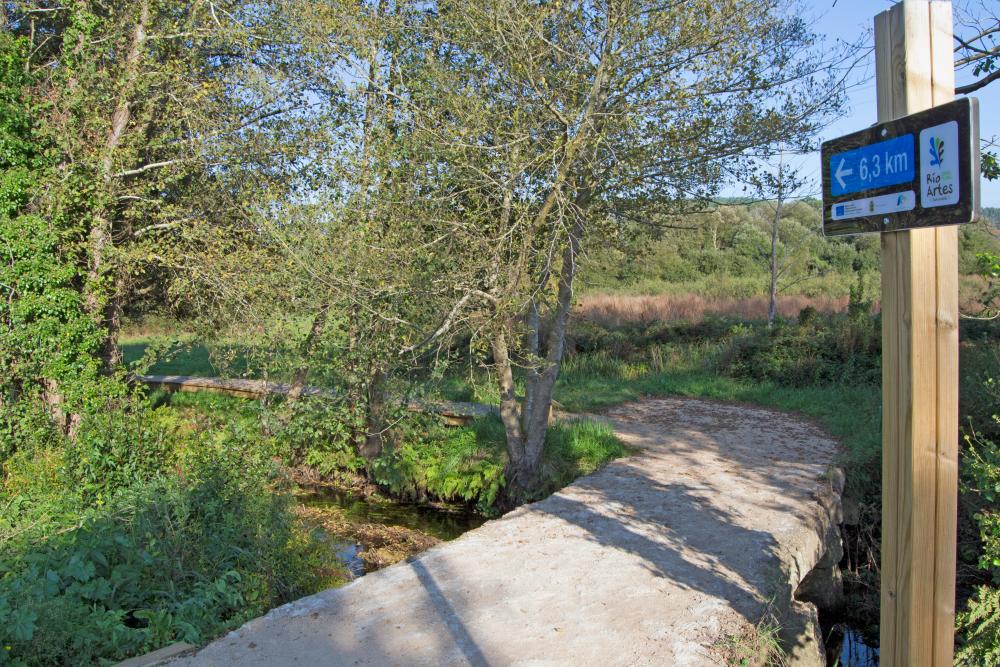 Imagen Adxudicado un proxecto para a mellora da biodiversidade no Río Artes e o Monte de San Alberto