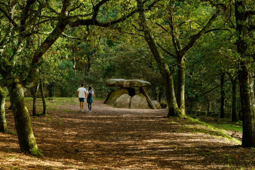 Imagen O Concello de Ribeira saca a licitación a implantación dunha plataforma turística intelixente