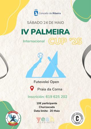 Torneo Futboley