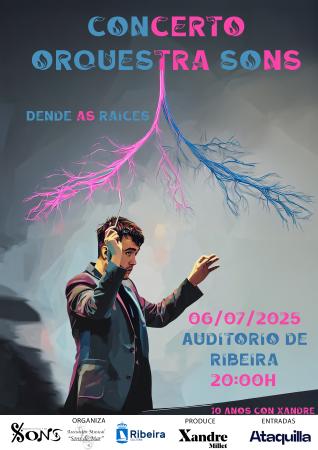 Actuación Orquesta Sons