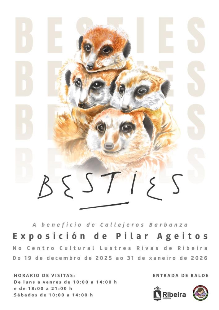 Imagen Pilar Ageitos inaugura a exposición 'Besties' no 19 de decembro ao abeiro do Nadal Cultural do Concello de Ribeira