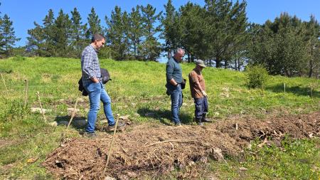 Imaxe O bosque comestible do parque periurbano de San Roque avanza coa plantación de preto dunha vintena de árbores