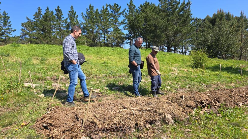 Imagen O bosque comestible do parque periurbano de San Roque avanza coa plantación de preto dunha vintena de árbores