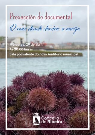 Imagen O Concello de Ribeira pon en valor o ourizo coa proxección dun documental no 29 de abril