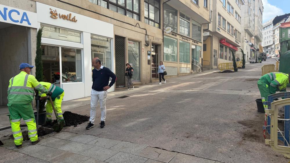 Imagen O Concello de Ribeira destina máis de 5.000 euros para novas árbores e plantas dentro do plan municipal de reverdecemento