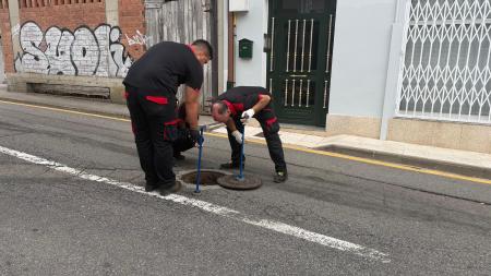 Imaxe O Concello de Ribeira executa unha campaña especial fronte a roedores e cucarachas
