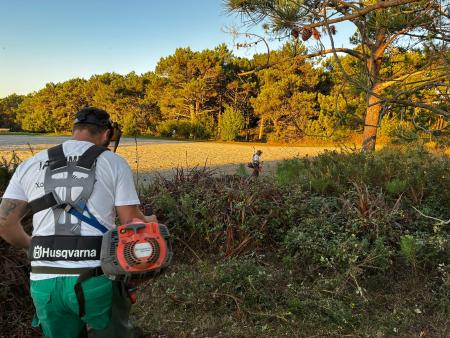 Imaxe O alumnado do Tahume XI mellora novos espazos públicos de Ribeira